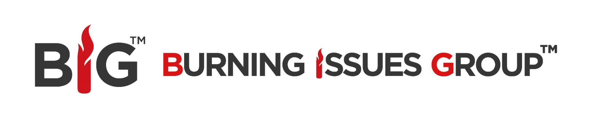 BIG — Burning Issues Group
